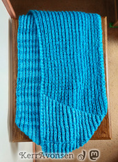 jarvis_scarf-20240920_141159.jpg